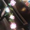 Творческий набор от Крайола Crayola DIY String Lights Kit, Flower Lights