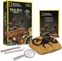 Науковий STEM набір Скорпіон і інші комахи NATIONAL GEOGRAPHIC Real Bug Dig
